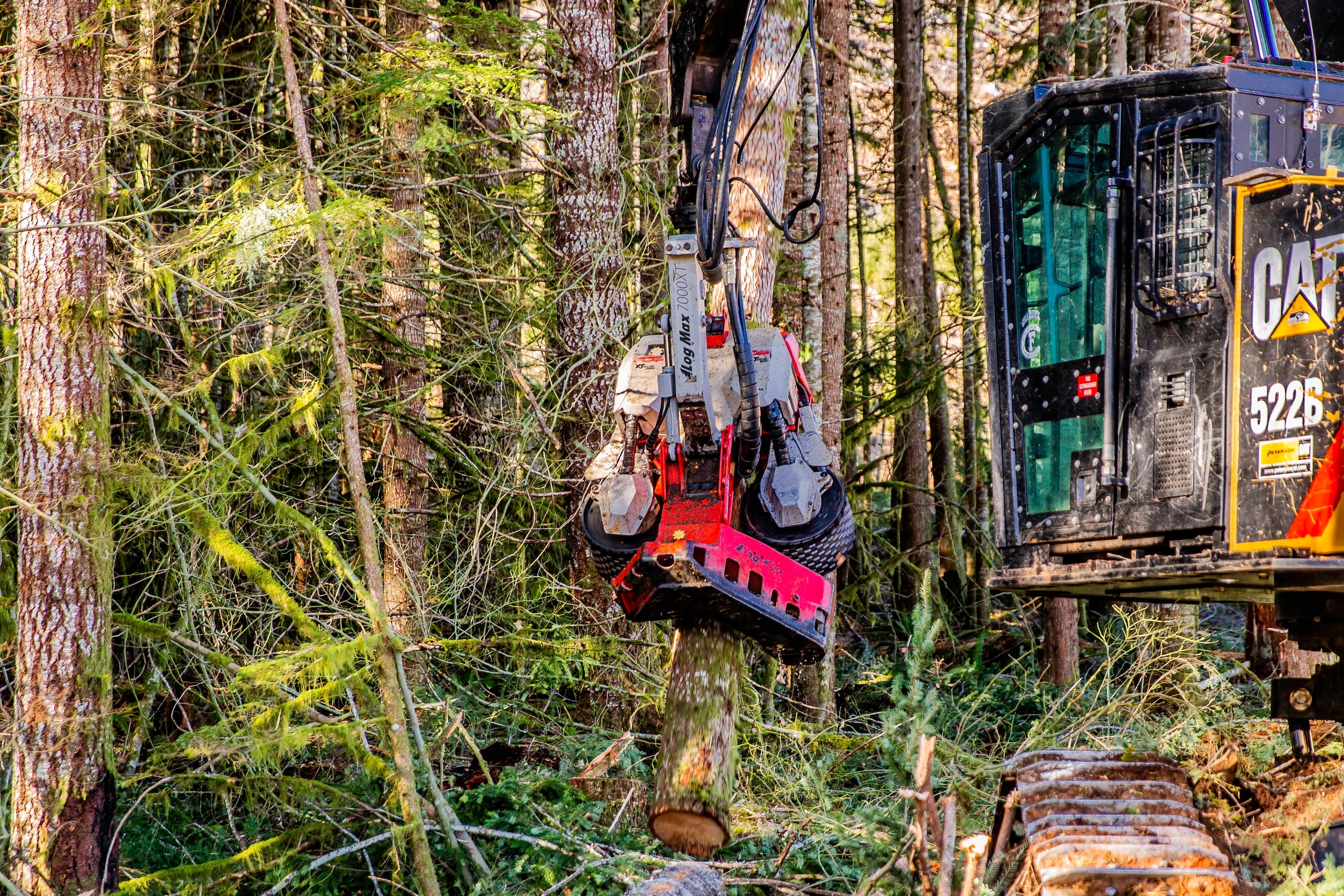 Harvesting-Processing