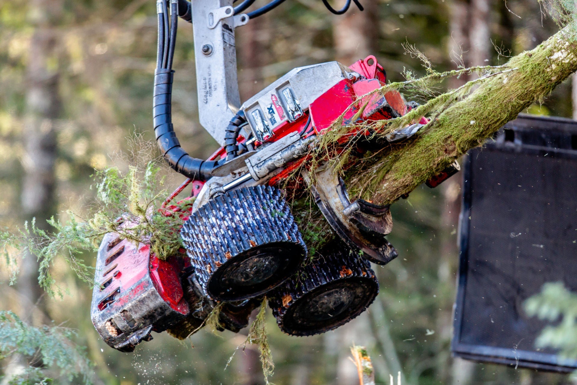 Log Max - Kit Parts